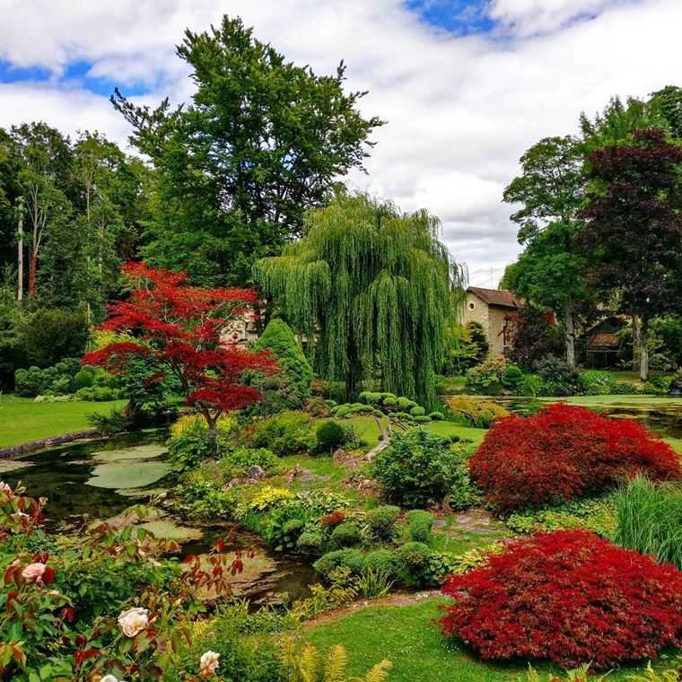 Красивый Сад Фото