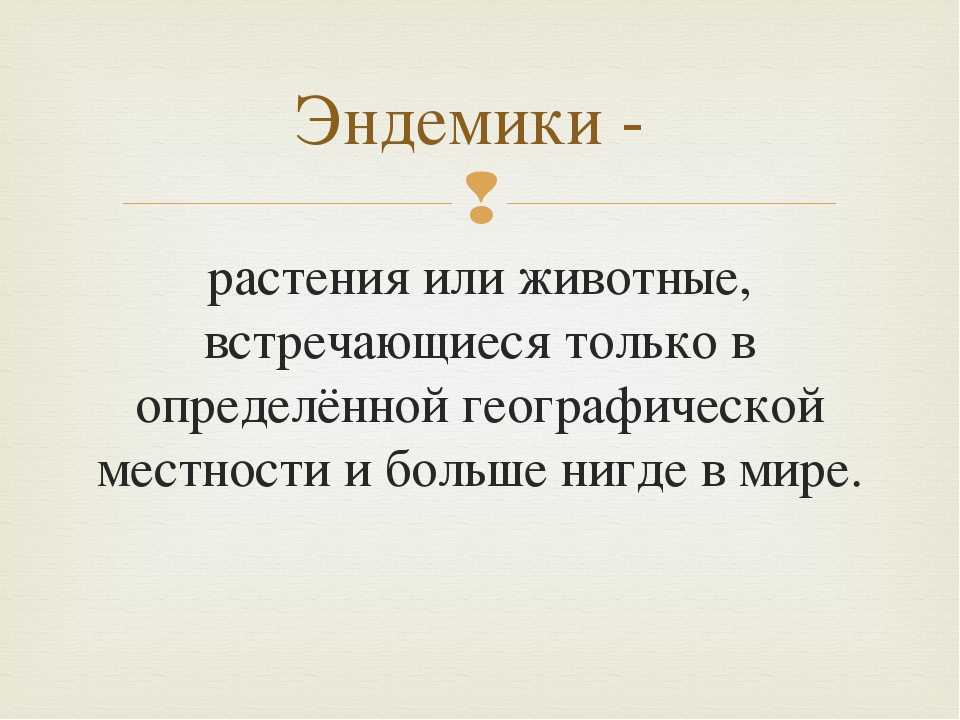 Следы животных в лесу и их особенности | животный мир