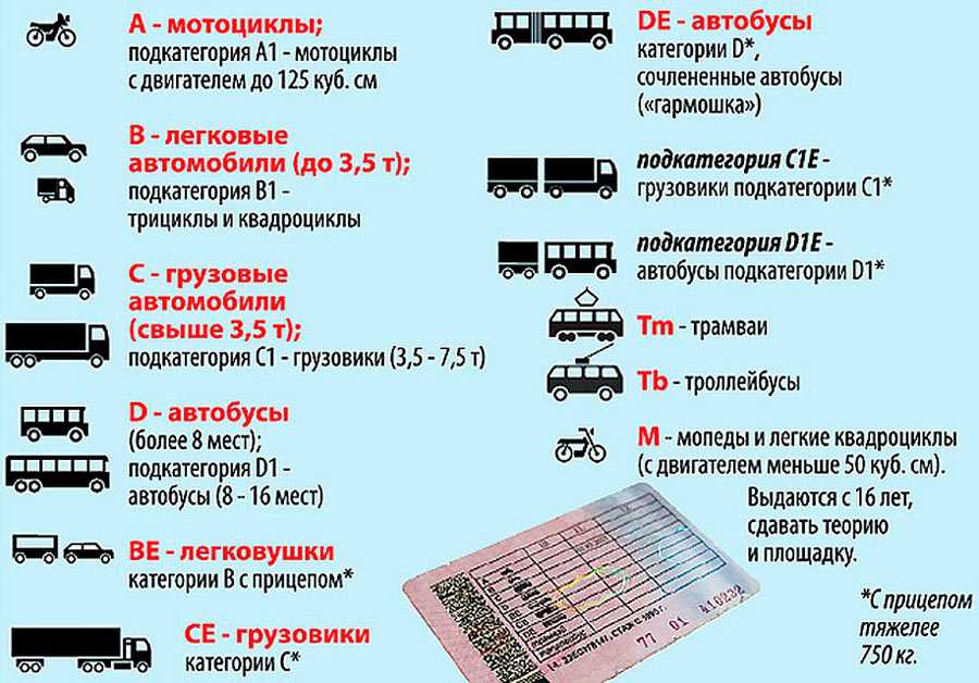 Нужны ли права на электромобиль в россии: можно ли ездить без ву