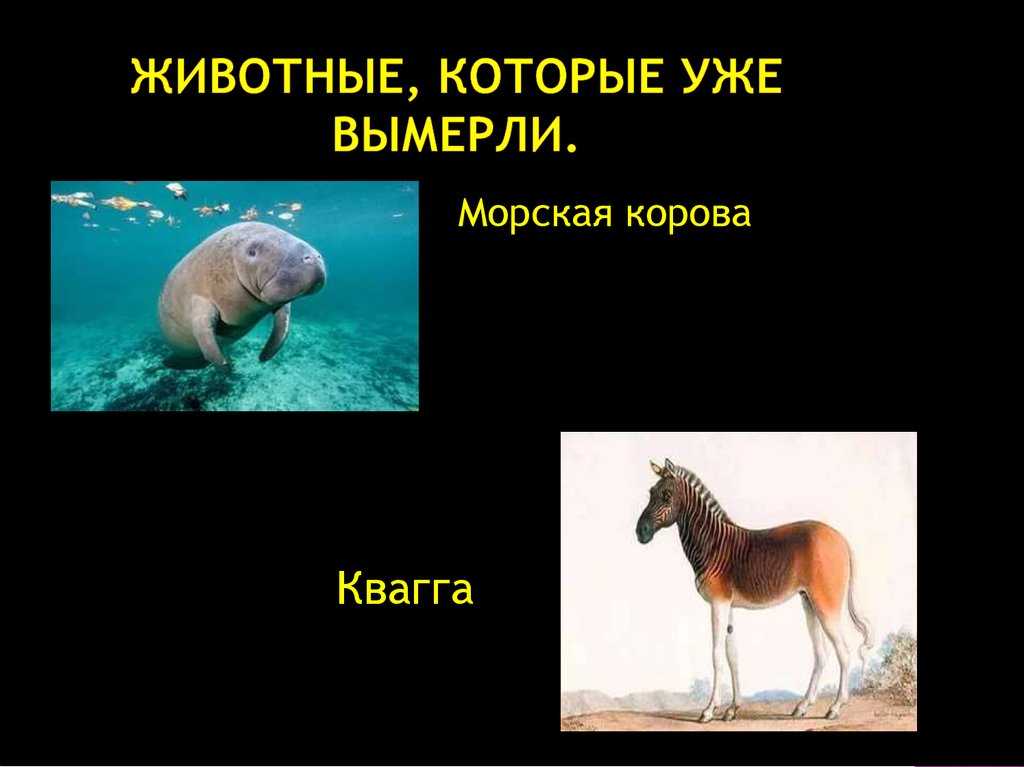 Животные которые вымерли