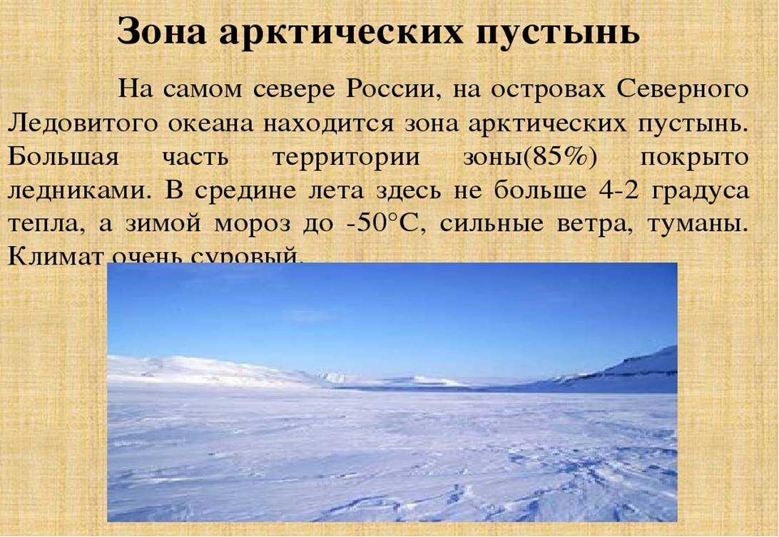 Рассказы о зоне. Зона арктических пустынь 4 класс. Сообщение о арктической пустыне. Кратко о арктических пустынях. Природная зона арктических пустынь.