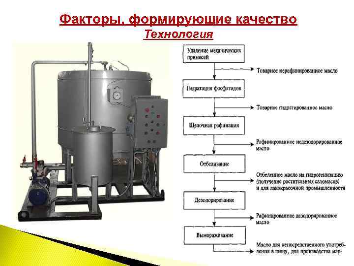 Бизнес план для производства масла холодного отжима