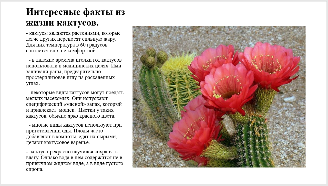Цветы энциклопедия с фото