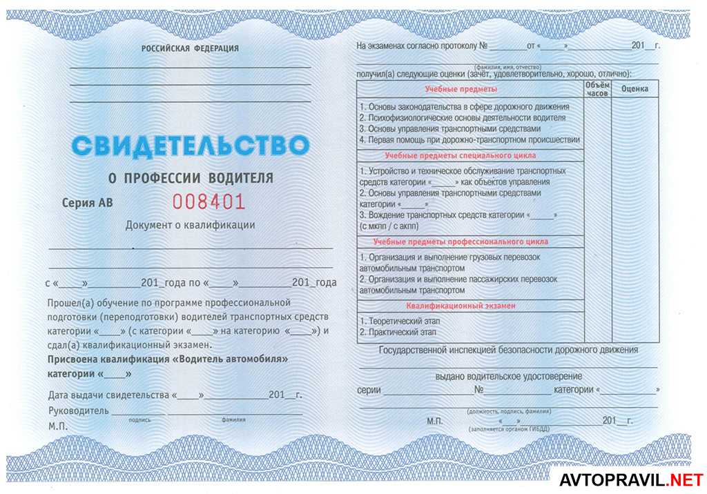 Первый выезд начинающего водителя: главное не бояться!