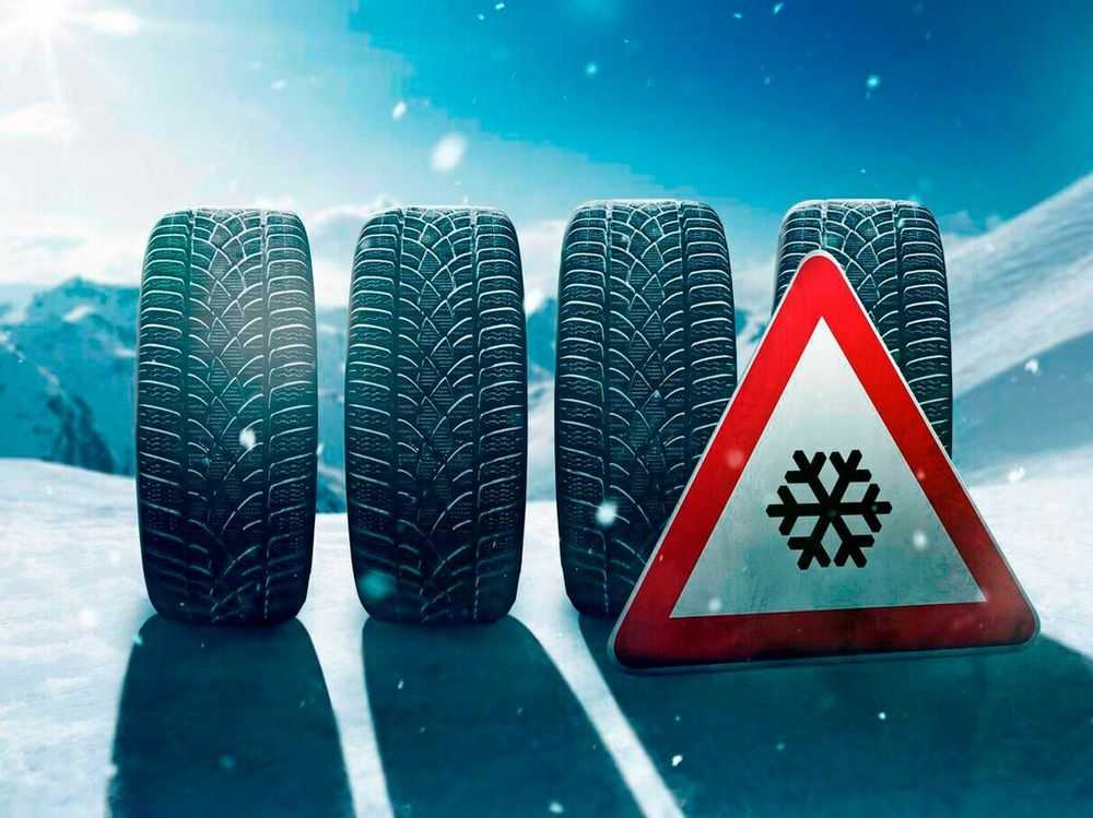 Сочинение что такое выбор 15.3 9 класс огэ