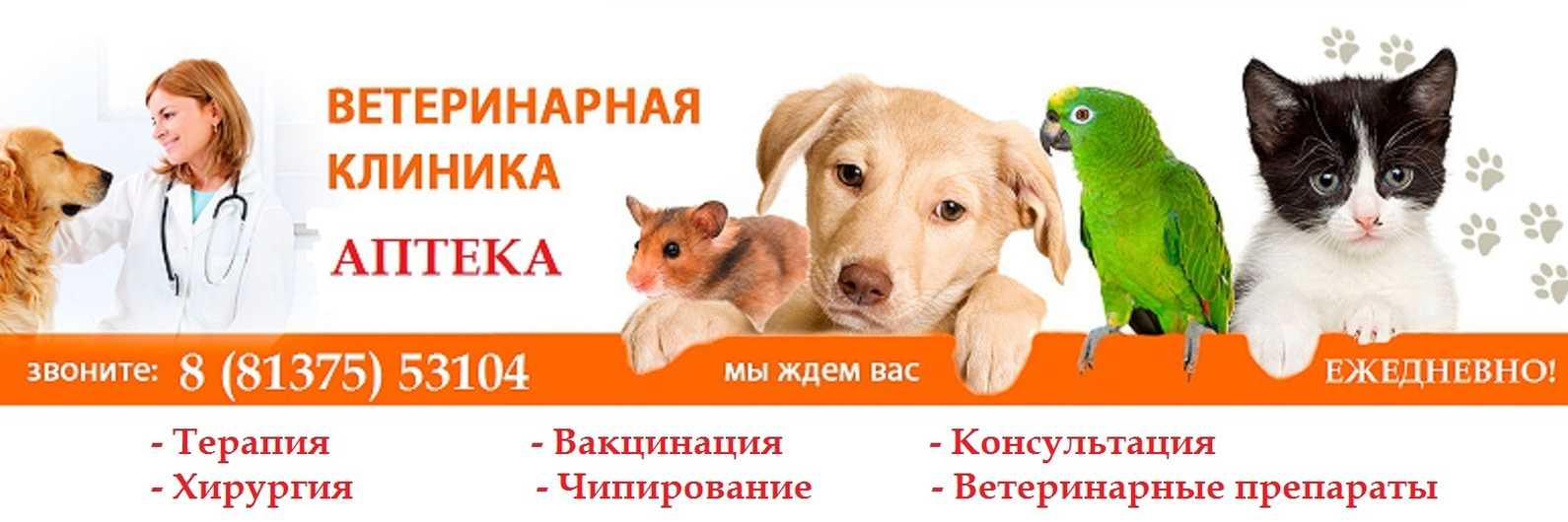 Оригинальные названия стоматологических клиник. как назвать стоматологическую клинику: принципы подбора названия, примеры