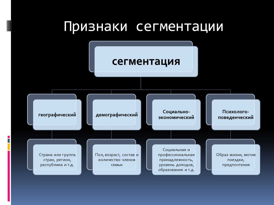 Сегментация рынка бизнес план