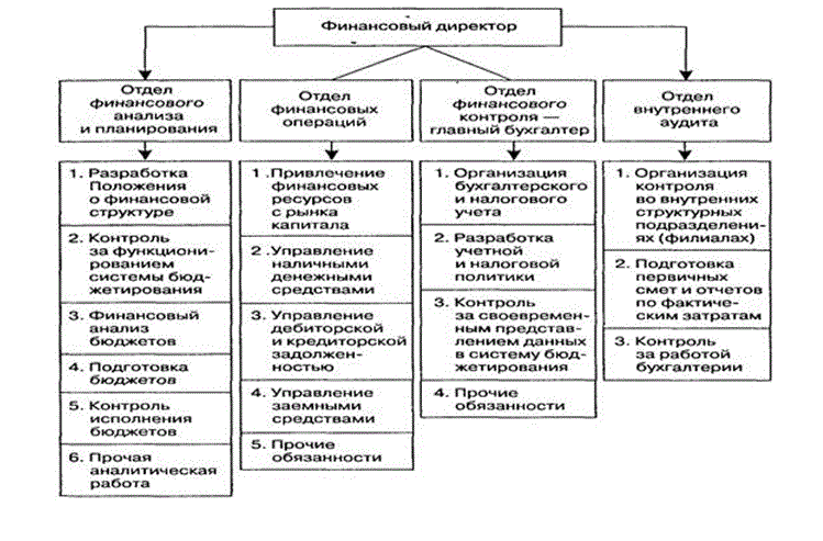 Должностная инструкция директора по экономике и финансам образец