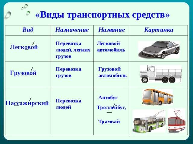 Кого из перечисленных лиц следует считать водителем