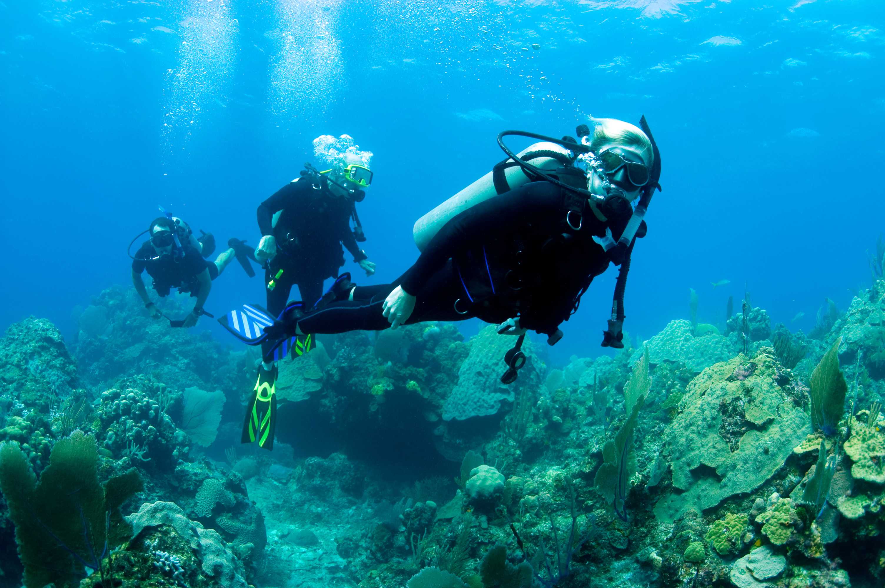 Diving holidays. Подводный заповедник Жак Кусто. Озеро Танганьика дайвинг. Жак Ив Кусто подводный город. Батискаф Жак Ив Кусто.