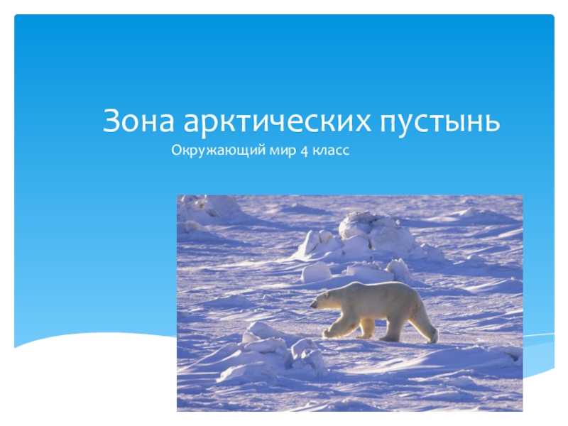 Зона арктических пустынь 4. Зона арктических пустынь 4 класс. Зона арктических пустынь 4 класс окружающий. Зона арктических пустынь презентация. Зона арктических пустынь 4 класс окружающий мир.