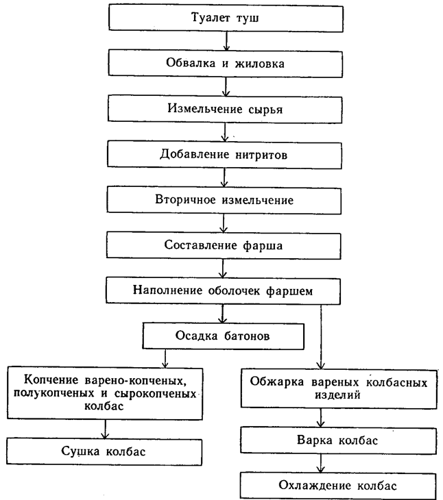 Технологическая схема производства колбасы