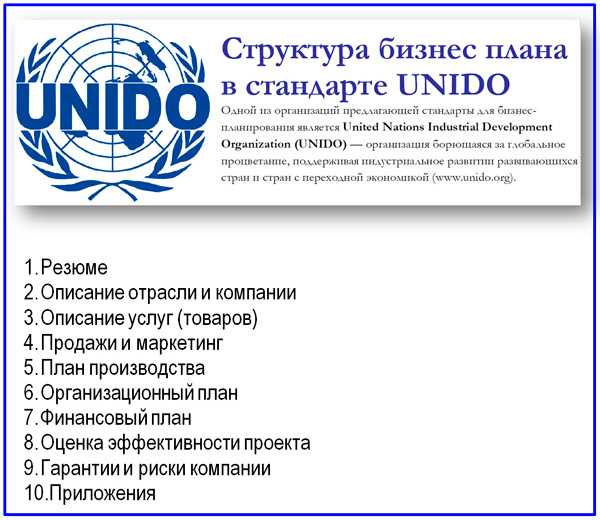 Бизнес план по стандартам unido