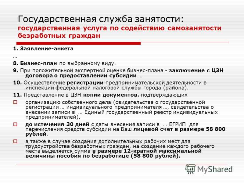 Бизнес план для получения субсидии от центра занятости для самозанятости