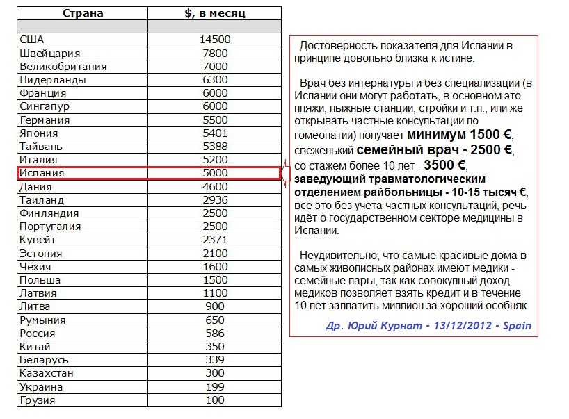 Кто такой ветеринар: как выучиться и где работать