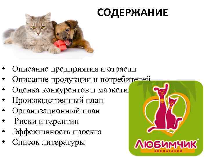 Бизнес-план зоомагазина с расчетами