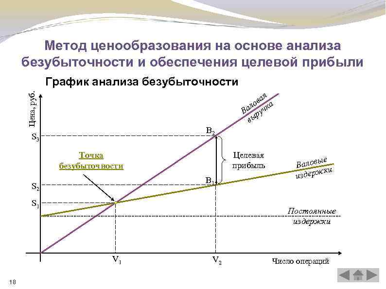 Некоторые виды проектов например социальные не предполагают получение прибыли и выручки