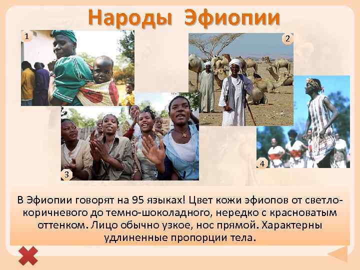 Эфиопия. путешествие и отдых в эфиопии.