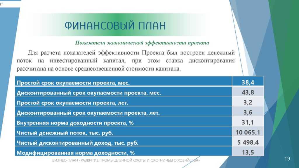 Оценка эффективности проекта бизнес план пример