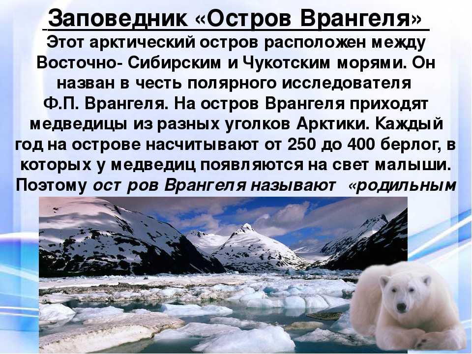 Запиши название заповедников в зоне пустынь. Арктическая пустыня заповедник остров Врангеля. Зона арктических пустынь заповедник остров Врангеля. Остров Врангеля текст. Арктический заповедник расположен на острове Врангеля.