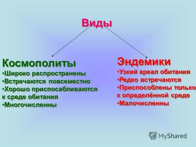 10 самых одиноких животных в мире — сайт эксперта по животным — howmeow