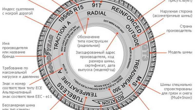Срок годности шин: какая износостойкость летом, зимой и в межсезонье?