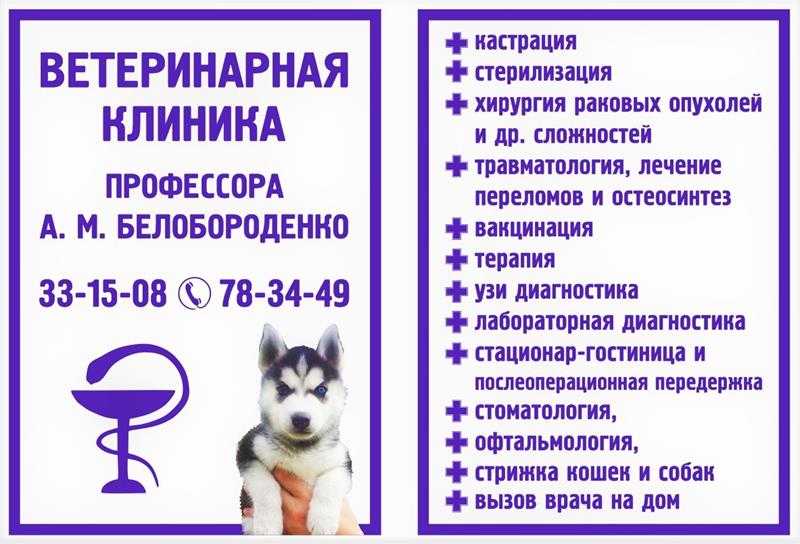Названия для ветеринарной клиники Как назвать - большое количество, принципы построений