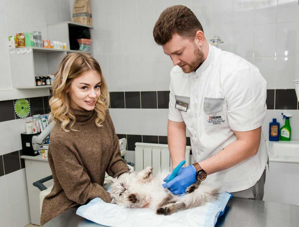 Ветеринарная клиника доктора Базылевского Смоленск