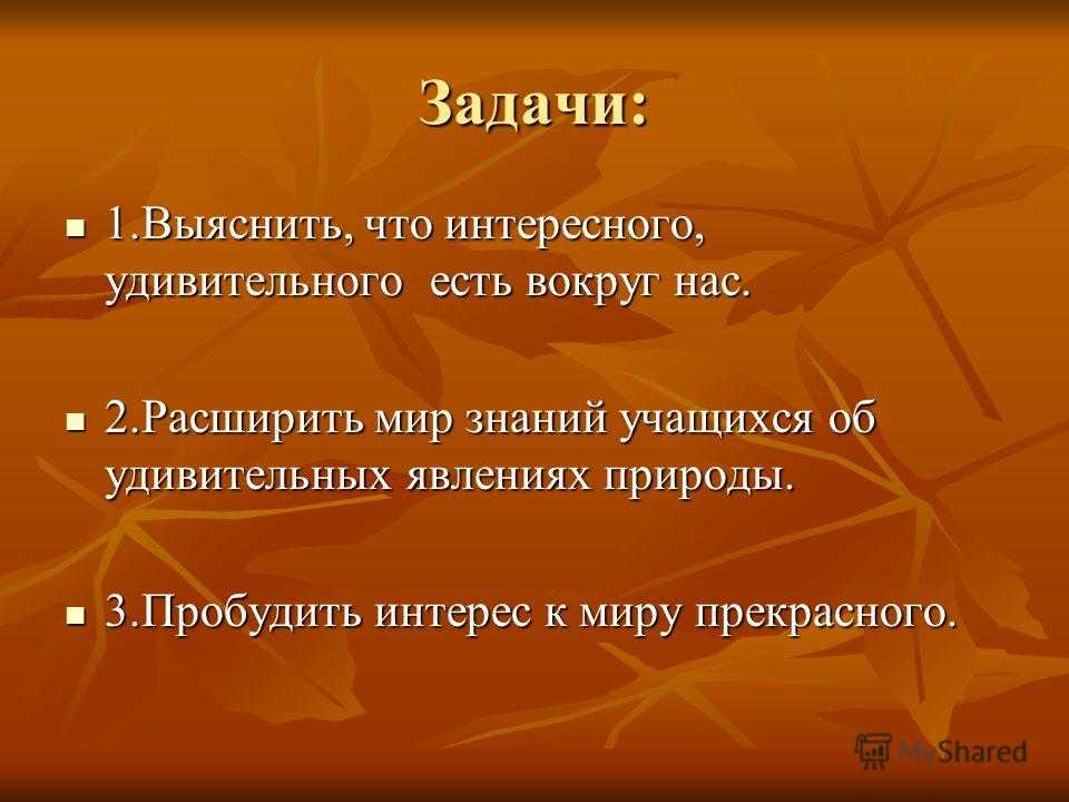 Проект удивительное рядом 7 класс по русскому языку