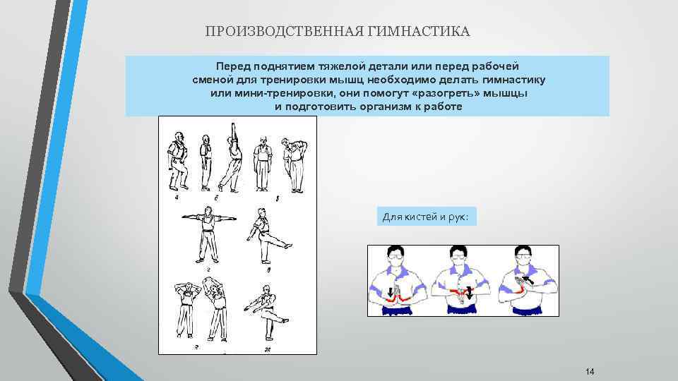 Делаем гимнастику в офисе - полезные упражнения для офисных работников