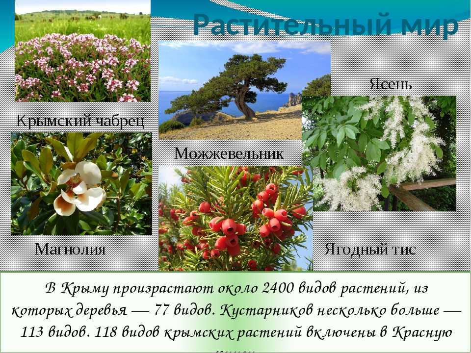 Достопримечательности греции: топ-19 мест