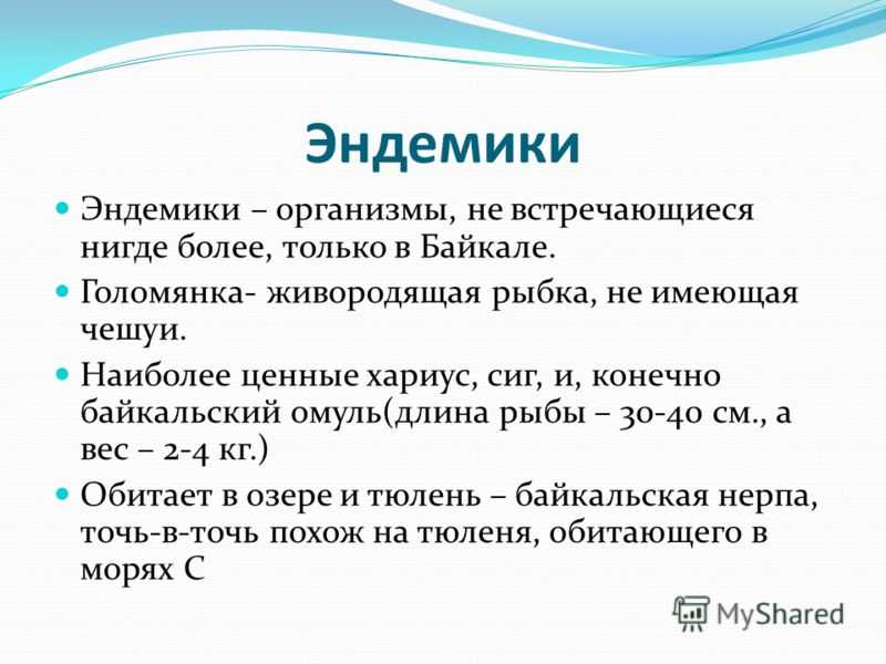 Эндемики это. Эндемики. Эндемики определение. Эндемики понятие. Эндемики это в биологии.