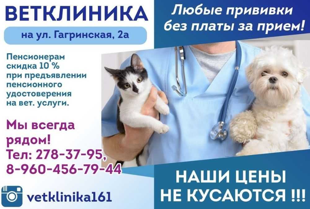Название клининговой компании примеры список приносящие удачу - домострой