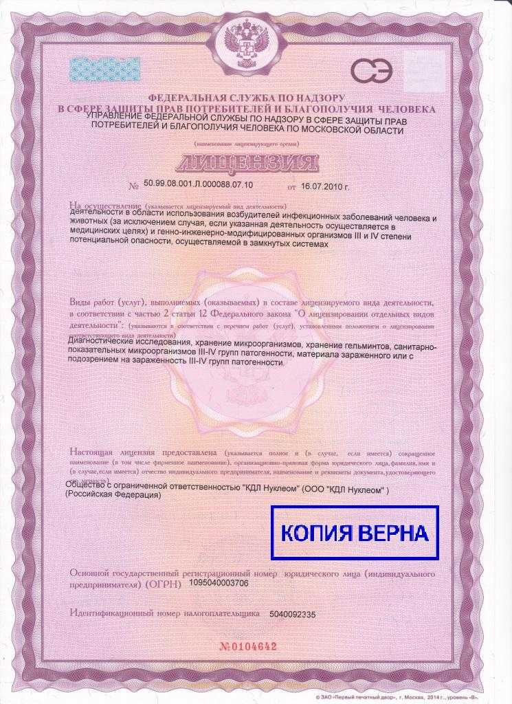 Как открыть ветеринарную клинику