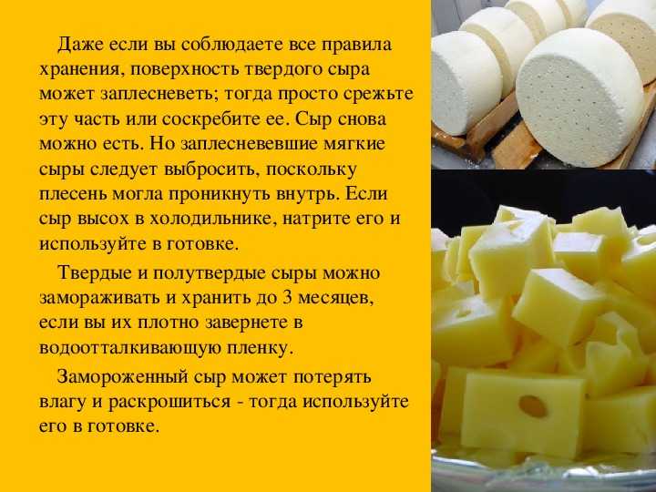 Бизнес-план по производству и переработке молока