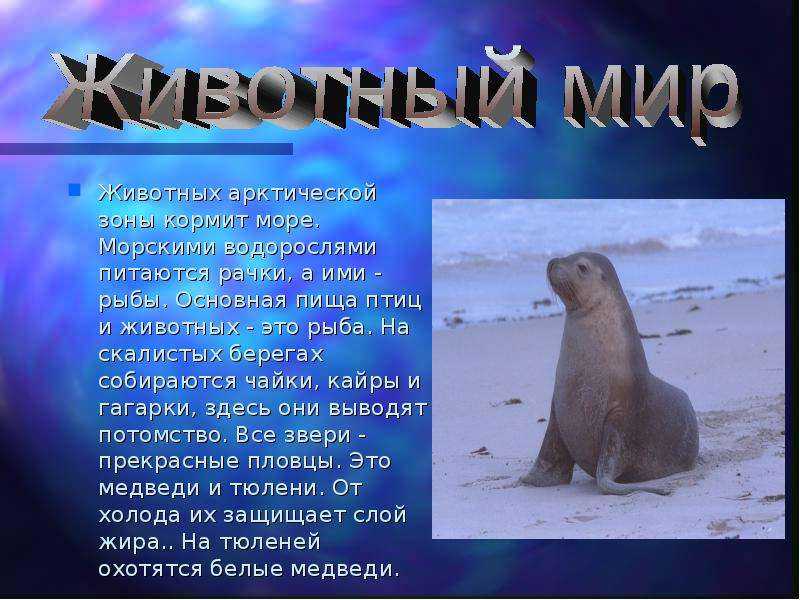 У всех на слуху: 30 известных каждому фраз, о происхождении которых знают лишь единицы