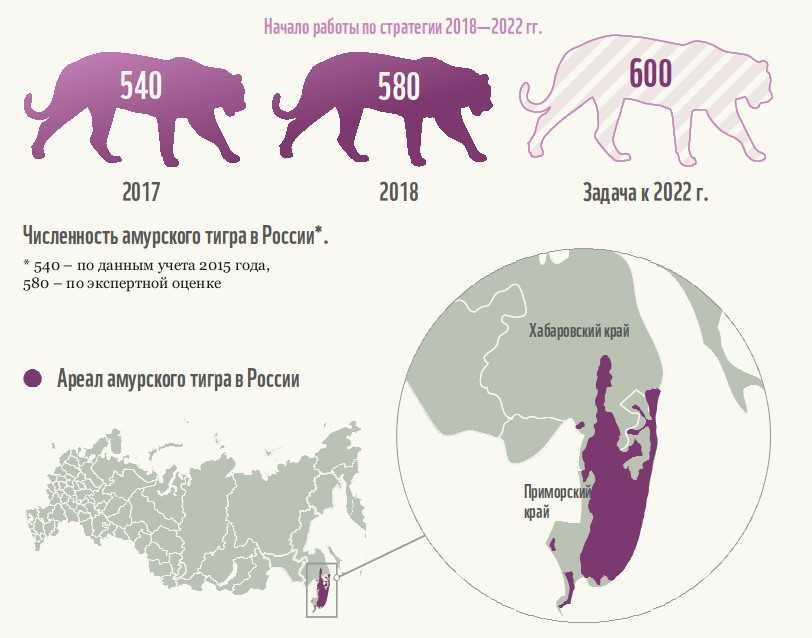 Карта волков в россии