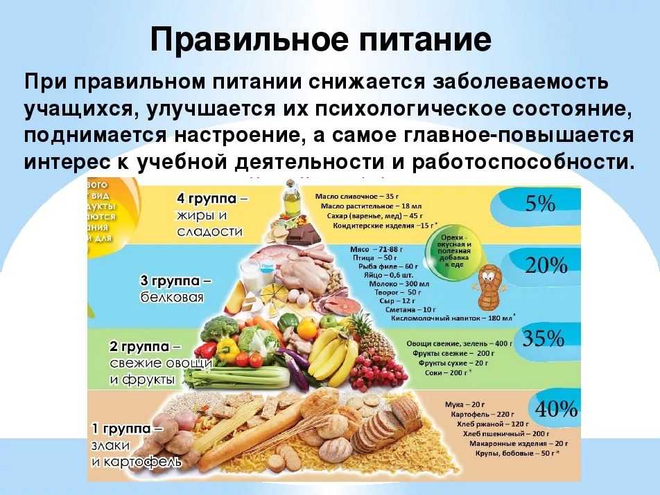 Топ-10 лучших приложений для подсчета калорий: рейтинг, отзывы
