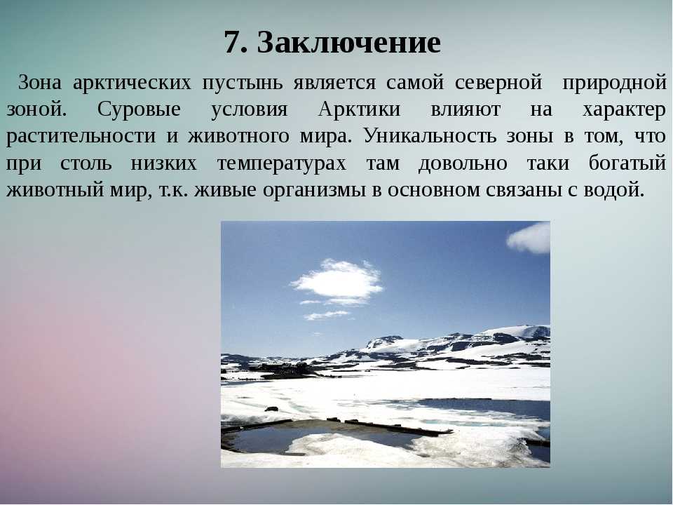Сколько суток в арктических пустынях. Проект природные зоны России арктические пустыни. Сообщение о арктических зонах. Описать арктические пустыни. Арктические пустыни сообщение.