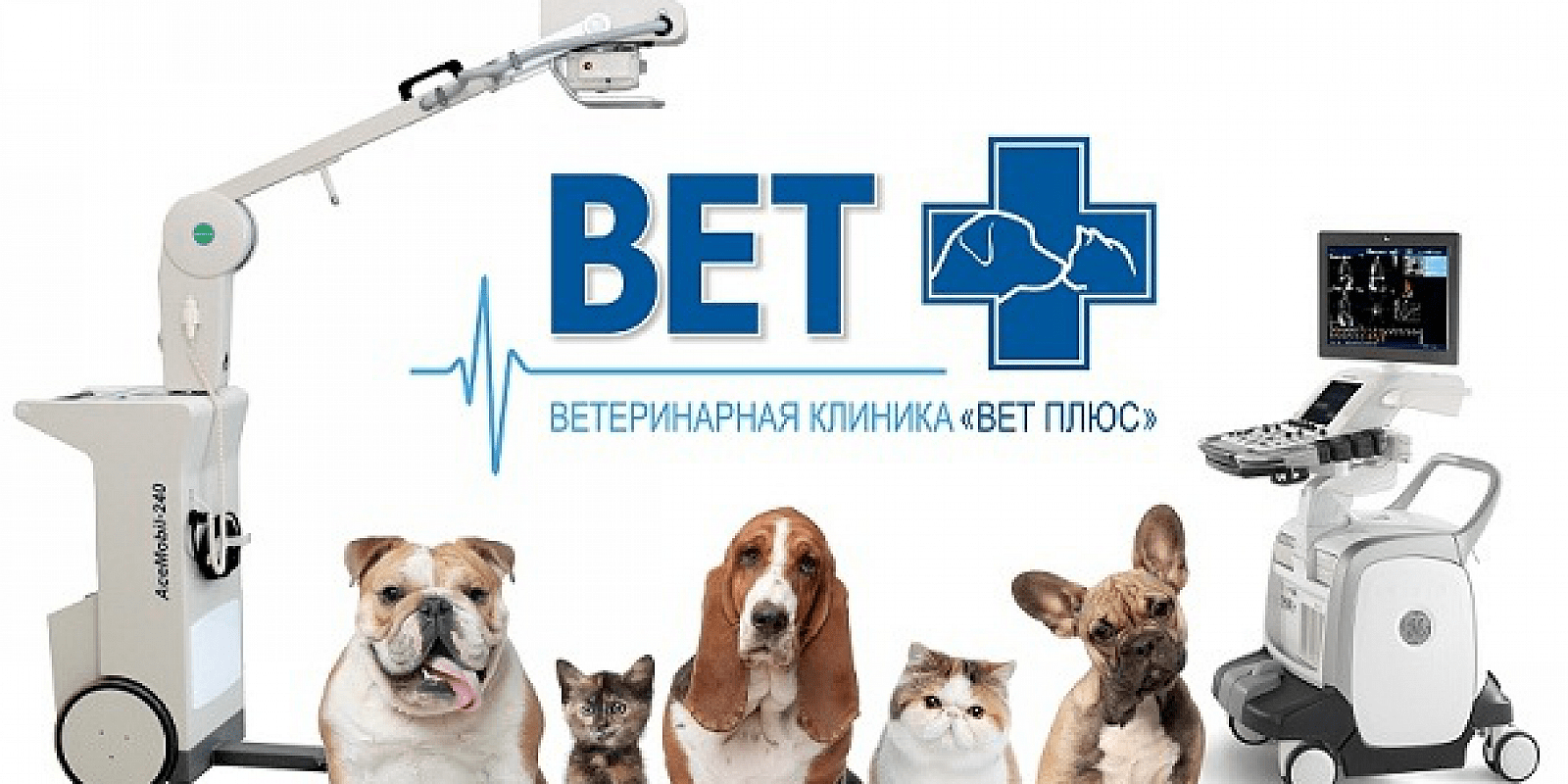 Рекламный баннер ветеринарной клиники