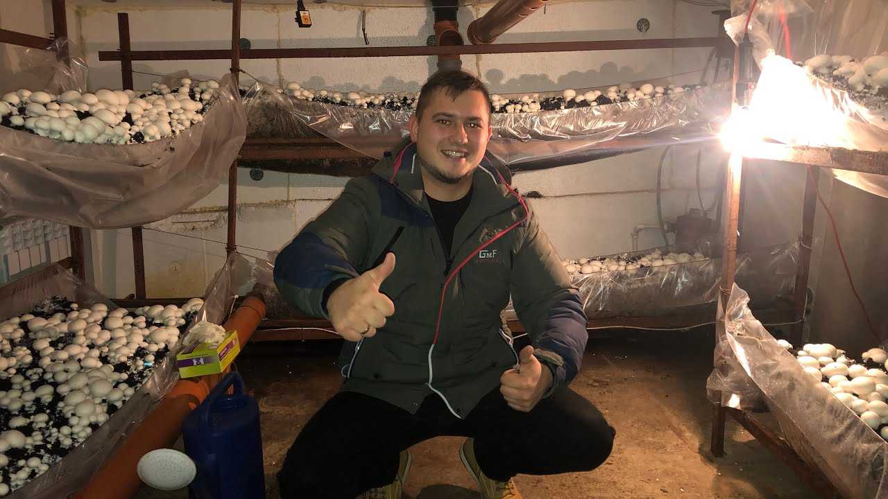 Бизнес на дому для женщин: идеи.